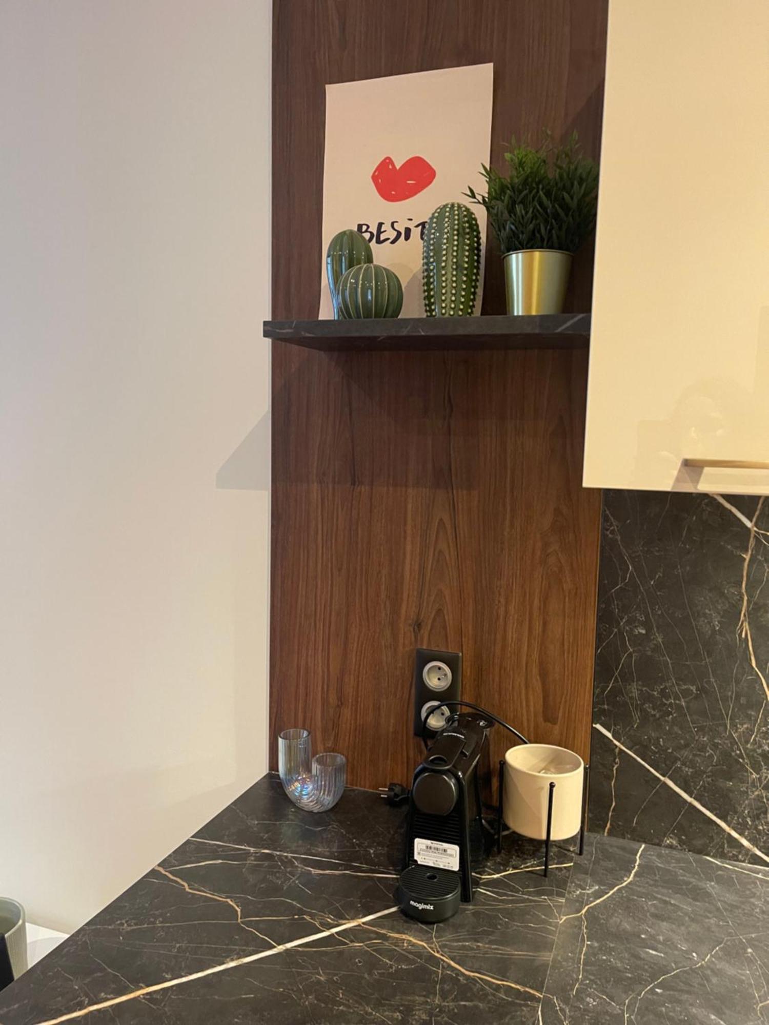 Appartement Au Coeur Du Centre Ville De Carcassonne Ngoại thất bức ảnh